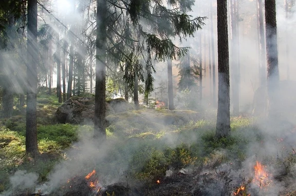 Daxenfeuer.jpg