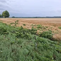 5 - FW-Einsatz am 26.06.2025.jpg