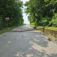 Bild Baum auf Straße.jpg